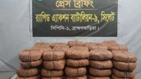 সঙ্গে ছিল ৪ কেজি গাঁজা, বাড়িতে মিলল আরও ১১৬ কেজি