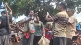 কুড়িগ্রামে ১০ ফুট লম্বা অজগর উদ্ধার