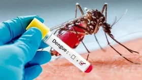 ডেঙ্গুতে প্রাণ গেল আরও দুইজনের