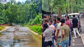 গরমে প্রশান্তির খোঁজে লাউয়াছড়ায় ভিড় পর্যটকের