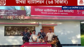 আচারের প্যাকেটে করে ইয়াবা পাচার, কারবারি গ্রেপ্তার
