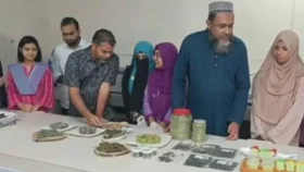 সামুদ্রিক শৈবাল থেকে তৈরি হচ্ছে খাবার-প্রসাধনী&nbsp;