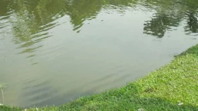 হবিগঞ্জে ৩ শিশুর মর্মান্তিক মৃত্যু
