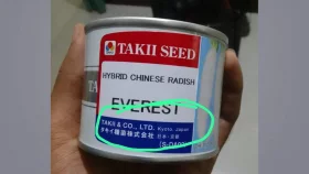 ফেনী সীমান্তে ফলজ ও কৃষি বীজ জব্দ