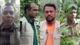 সাতছড়ির গাছ চুরির অভিযোগে বন বিভাগের ৪ কর্মকর্তার বিরুদ্ধে মামলা
