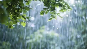 &lsquo;ঈশান ২&rsquo; নামের মৌসুমি বৃষ্টিবলয় আসছে