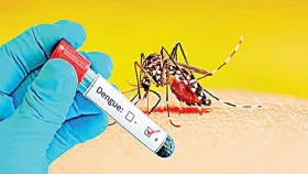 ডেঙ্গু রোগীদের চিকিৎসায় স্বাস্থ্য অধিদপ্তরের জরুরি নির্দেশনা