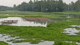 উজানের ঢলে প্লাবিত কুড়িগ্রামের নিম্নাঞ্চল ও চরাঞ্চল