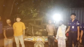 কেইপিজেড পাহাড়ের গাছ কেটে নিয়ে যাওয়ার সময় আটক ৪