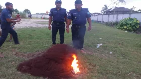 জাল, মাছ ও জেলীযুক্ত চিংড়ি উদ্ধারসহ আটক ২৪৮