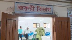 চাঁদপুরে ছোট ভাইয়ের হাতুড়ির আঘাতে বড় ভাইয়ের মৃত্যু