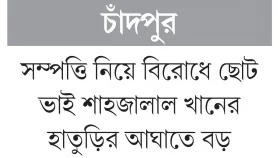 ছোট ভাইয়ের হাতুড়ির আঘাতে বড় ভাই