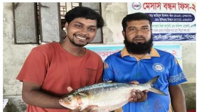 বঙ্গোপসাগরের এক ইলিশ সাড়ে ৬ হাজার টাকা
