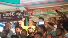 তালতলীতে বিএনপির আনন্দ মিছিল