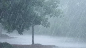 মুষলধারে বৃষ্টিতে ডুবলো ঢাকা