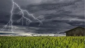 সোনারগাঁয়ে বজ্রপাতে কৃষকের মৃত্যু