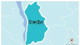 সখীপুরে শিয়াল ও বানরের কামড়ে আহত ১১