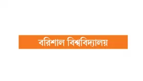 বেপরোয়া প্রকৌশলীরা!
