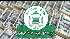 দেশের রিজার্ভ ৩১.২৭ বিলিয়ন ডলার ছাড়াল