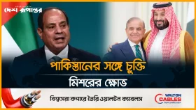 সৌদি-পাকিস্তান সামরিক চুক্তি নিয়ে ক্ষুব্ধ মিশর