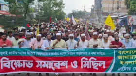 'একটি দল নির্বাচন নির্বাচন বলে মরিয়া হয়ে উঠেছে'