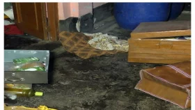 ব্যবসায়ীর বাড়িতে ডাকাতি, টাকা ও স্বর্ণালংকার লুট