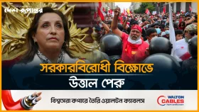 সরকারবিরোধী বি*ক্ষো*ভে উত্তাল বিশ্ব, পেরুতে সরকার পতনের বিক্ষোভ