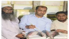 দুর্গাপূজায় বেনাপোল দিয়ে ৯৯ টন ইলিশ গেল ভারতে