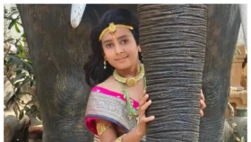 অগ্নিকাণ্ডে ভাইসহ শিশুশিল্পীর মৃত্যু