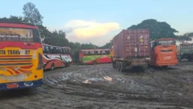 ঢাকা-চট্টগ্রাম মহাসড়কে অবৈধ পার্কিং, ৫ বাস আটক