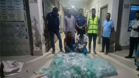 নিষেধাজ্ঞা অমান্য করে ইলিশ শিকার, দুই জেলের কারাদণ্ড
