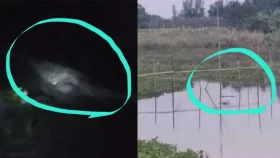 হরিরামপুরে খালে কুমিরের দেখা, আতঙ্কে জনজীবন
