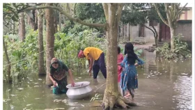 বাগাতিপাড়ায় ভ্যানচালক শাহিনের স্বপ্ন ভেসে গেল বিষে