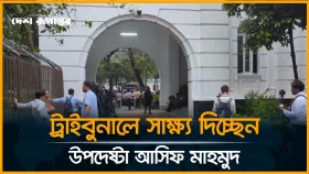 ট্রাইবুনালে সাক্ষ্য দিচ্ছেন উপদেষ্টা আসিফ মাহমুদ