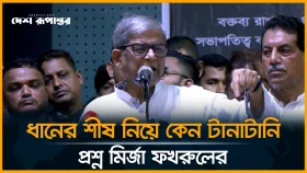 নির্বাচন ফেব্রুয়ারিতেই হতে হবে অন্যথায় নির্বাচন হবে না: মির্জা ফখরুল