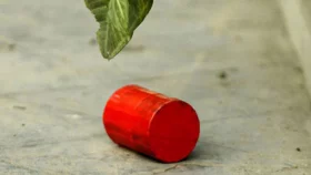মিরপুরে কুড়িয়ে পাওয়া ককটেল বিস্ফোরণে শিশু আহত