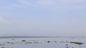 দুমকিতে চোর-পুলিশের খেলা, থামছে না মা ইলিশ নিধন