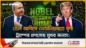 ইসরায়েলজুড়ে নেতানিয়াহুর প্রতি ক্ষো*ভ, ট্রাম্পের নামেই জনতার উচ্ছ্বাস