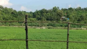 নাইক্ষ্যংছড়ি সীমান্তে মাইন বিস্ফোরণে পা হারালেন বিজিবি সদস্য