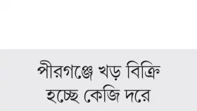 খড়-ঘাস সংকটে খামারিরা