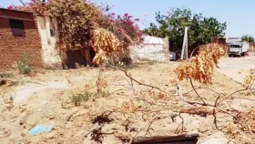 সুদানের ড্রোন হামলায় ৬০ নিহত