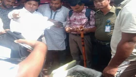ব্রাহ্মণবাড়িয়ায় চিংড়ি মাছে জেলি ঢুকিয়ে প্রতারণা, লাখ টাকা জরিমানা