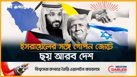 গাজা হা*মলার পেছনে ৬ আরব দেশের নিরব সহযোগিতা