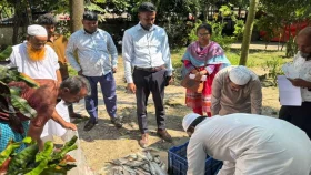 মুন্সীগঞ্জে মা ইলিশ শিকারের অপরাধে ১১ জনের কারাদণ্ড