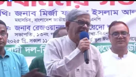 নির্বাচনটা করতে দেন, নির্বাচিত সংসদ আসুক