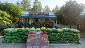 উলিপুরে বিজিবির অভিযানে বিপুল পরিমাণ জিরা-মদ জব্দ