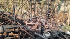 আগুনে ঘরের গরু-ছাগল মারা যাওয়ায় শোকে বৃদ্ধার মৃত্যু
