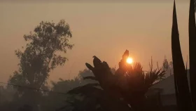 রাজধানীতে তীব্র রোদ, নেই বৃষ্টির সম্ভাবনা