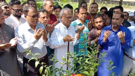 জুলাই আন্দোলনে শহীদরাও মুক্তিযোদ্ধা: রিজভী