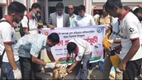 মালিক বিহীন কুকুর ও বিড়ালকে বিনামূল্যে টিকা প্রদান